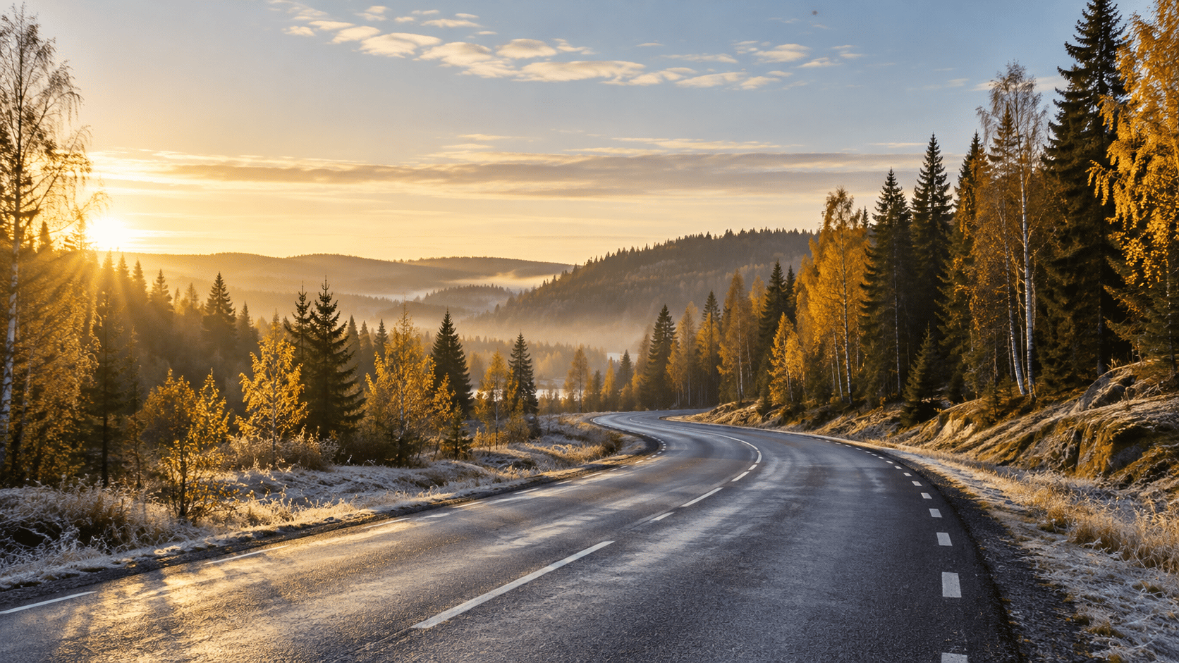 Landsväg genom björkskog en kall höstmorgon, med frost i diket och blöt asfalt.